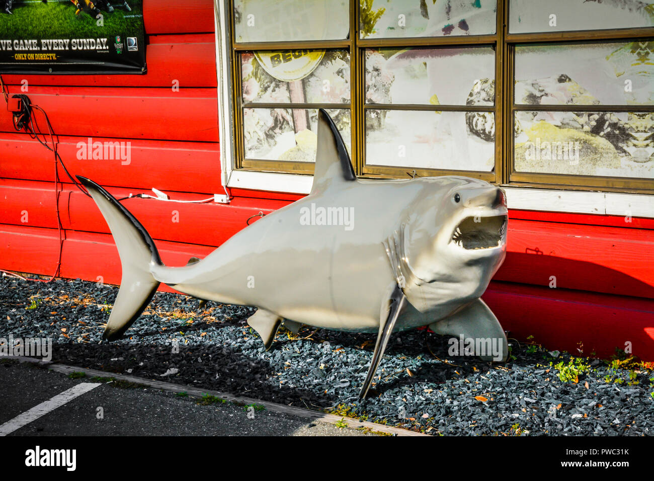 Big Fake shark outside of Old, midcentury roadside restaurants along highway 19 in the Florida