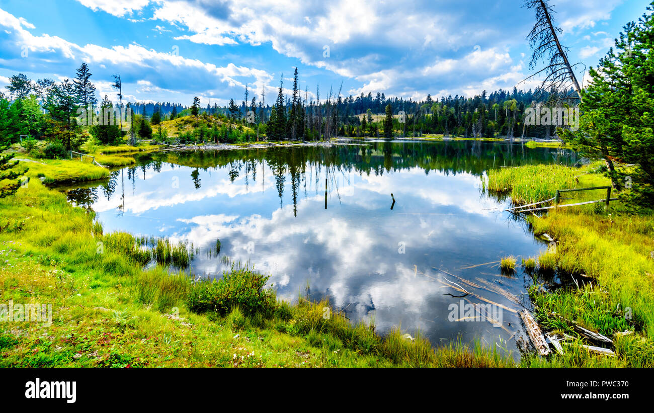 Lac le jeune lake hires stock photography and images Alamy