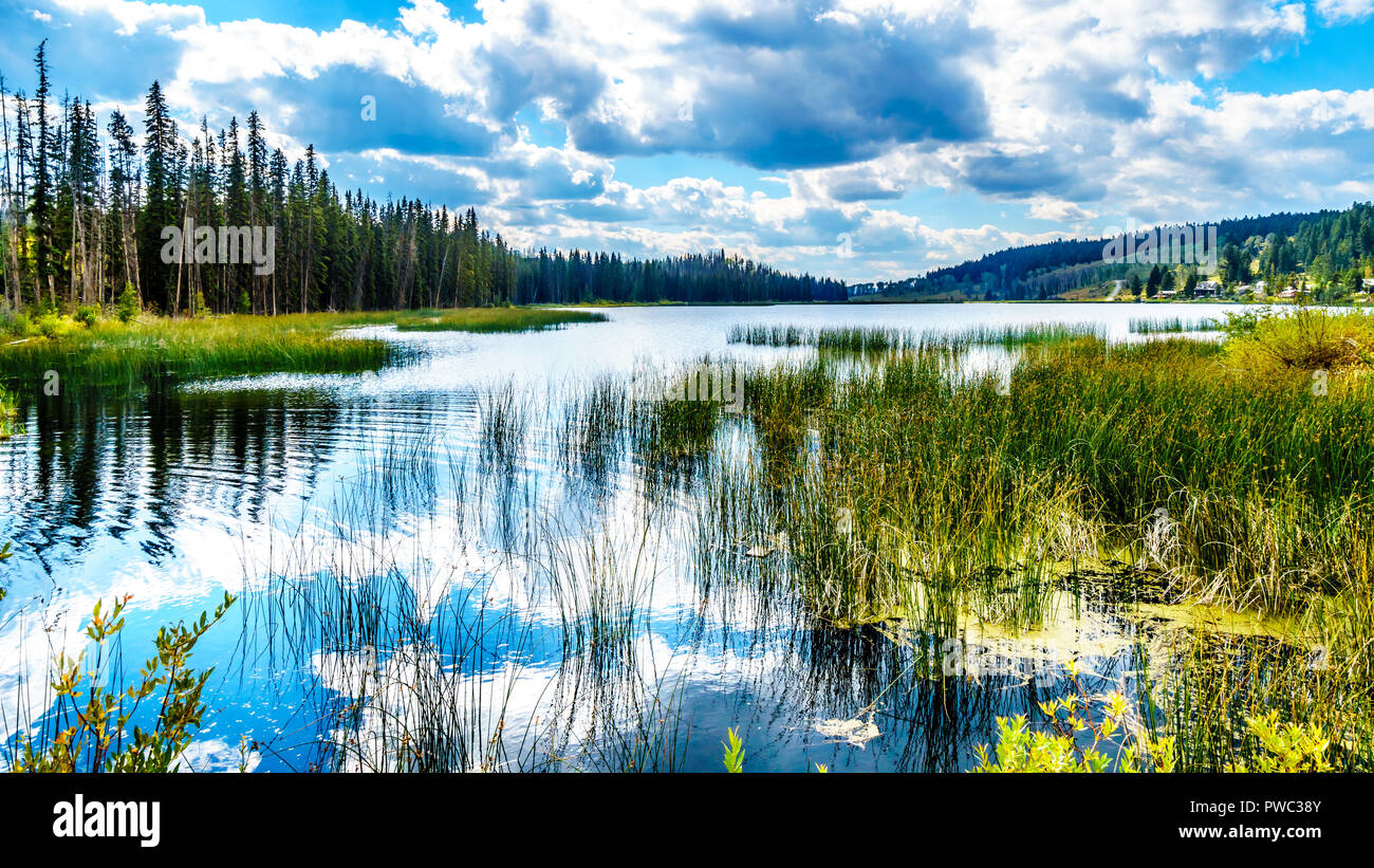 West lakle hires stock photography and images Alamy