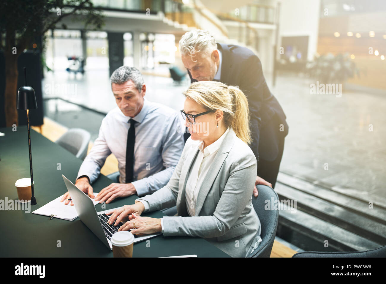 Mature work colleagues discussing a project together on a laptop during a meeting in the lobby of a modern office building Stock Photo