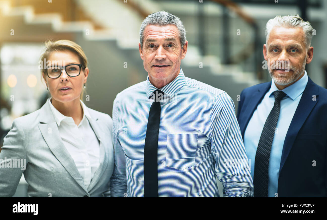 Confident group of mature businesspeople standing together in the lobby of a modern office building Stock Photo
