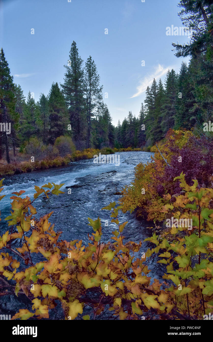 Autumn at the Metolius River in Central Oregon Stock Photo