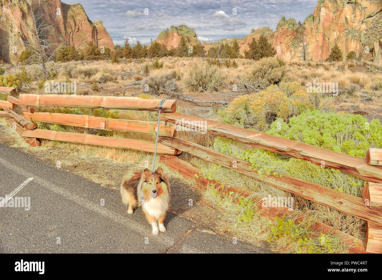 Hiking with my dog at Smith Rock State Park In Oregon Stock Photo