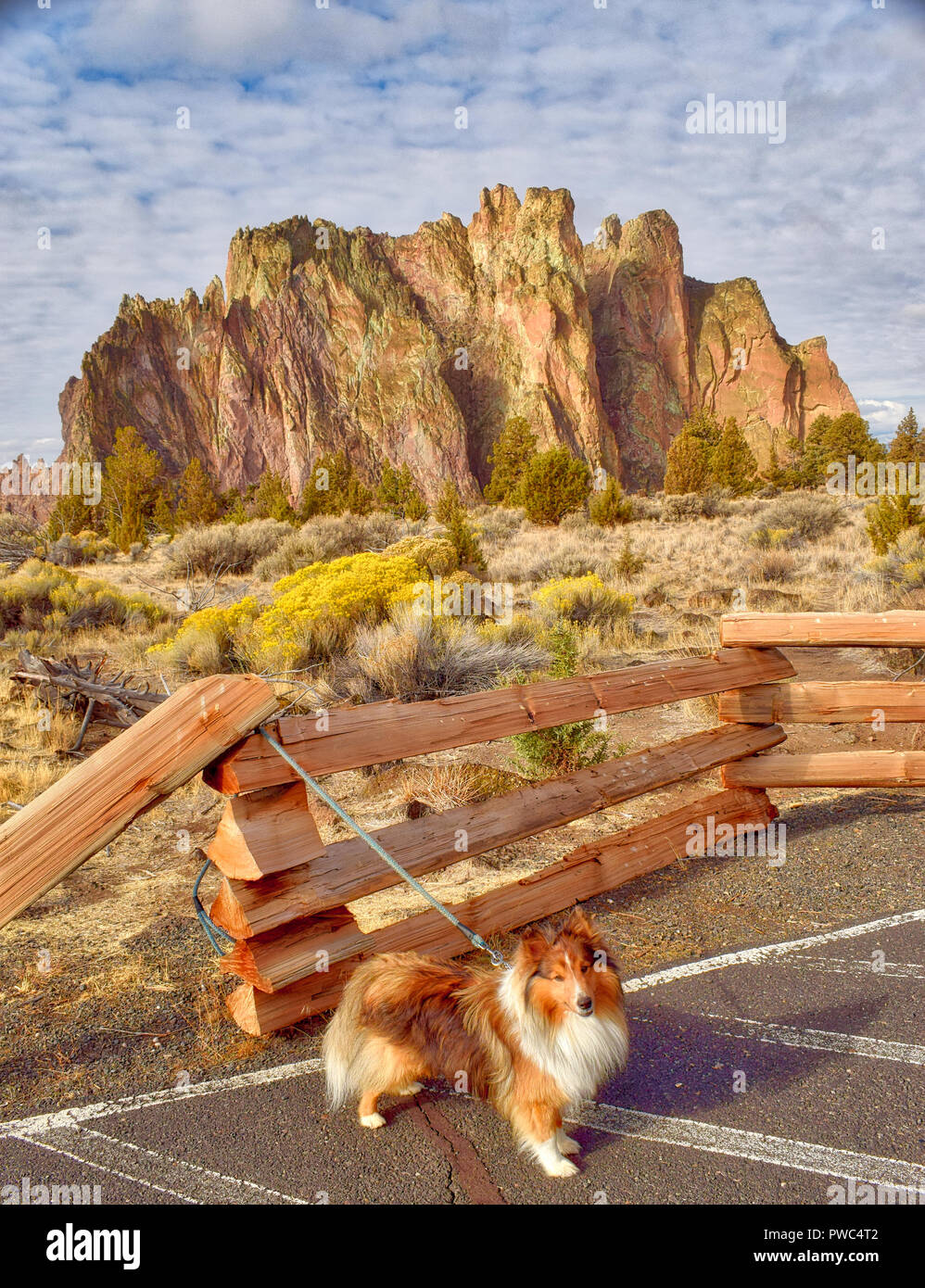 Hiking with my dog at Smith Rock State Park In Oregon Stock Photo