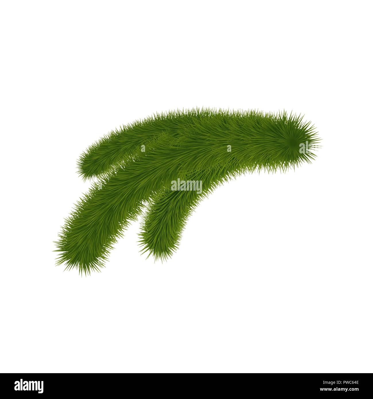 Green fir branch isolated on background. Christmas tree twig Stock ...