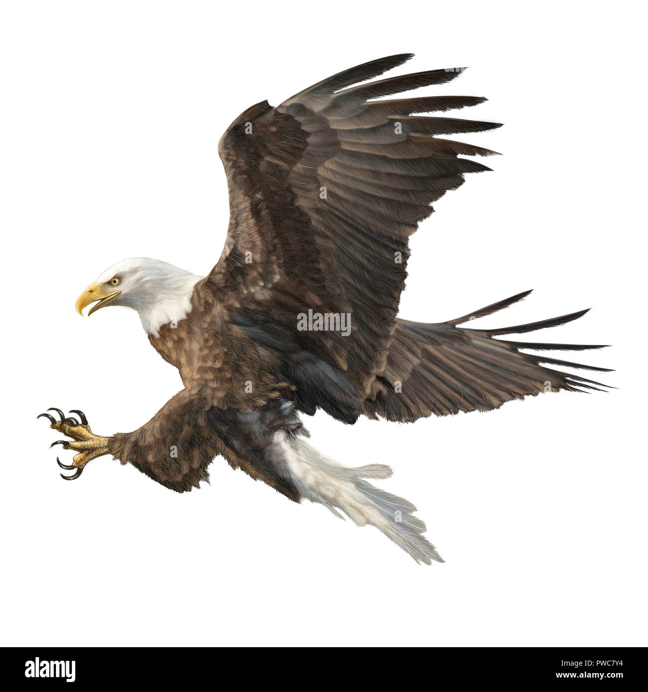 Bald eagle beak Cut Out Stock Images & Pictures - Alamy