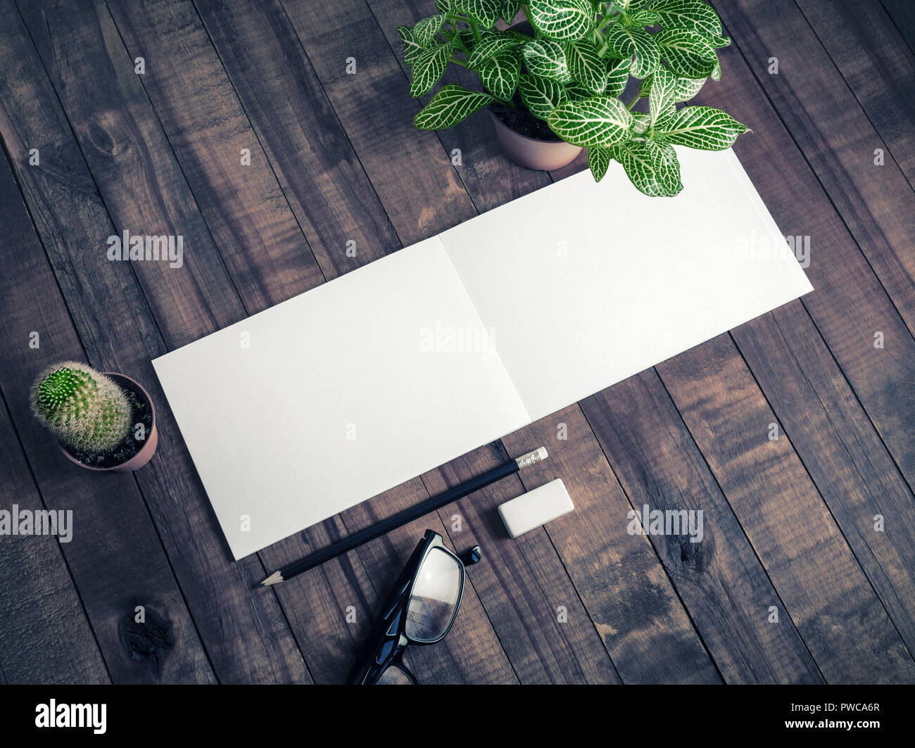 Stationery and plants on vintage wood table background. Responsive design mockup. Stock Photo