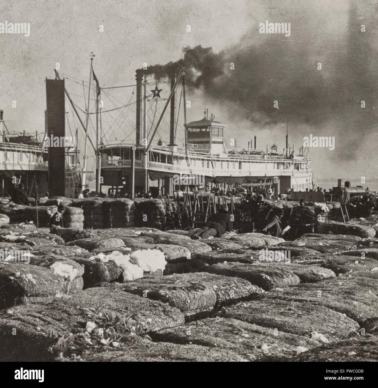 The cotton levee, New Orleans, Louisiana., U.S.A., circa 1903 Stock
