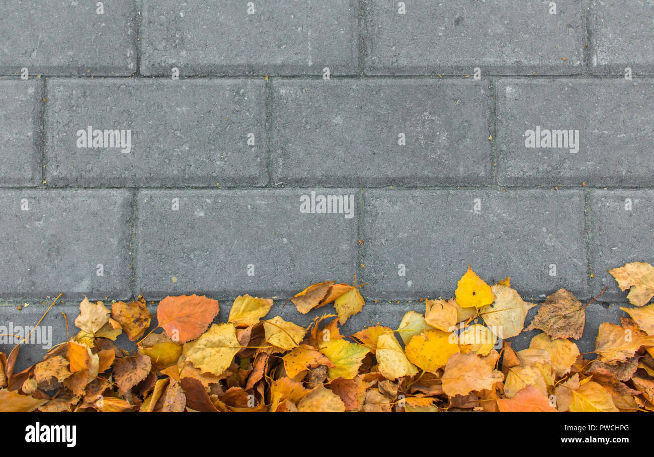 Autumn leaves on paving stone bricks background Stock Photo