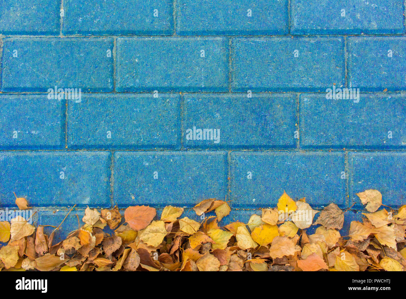Yellow leaves on blue paving stone bricks Stock Photo