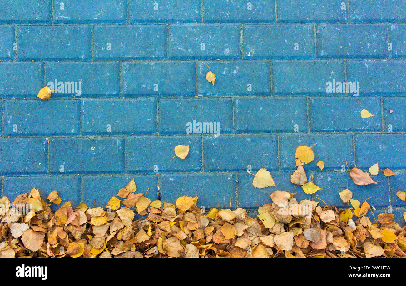 Autumn leaves on blue paving stone bricks background Stock Photo