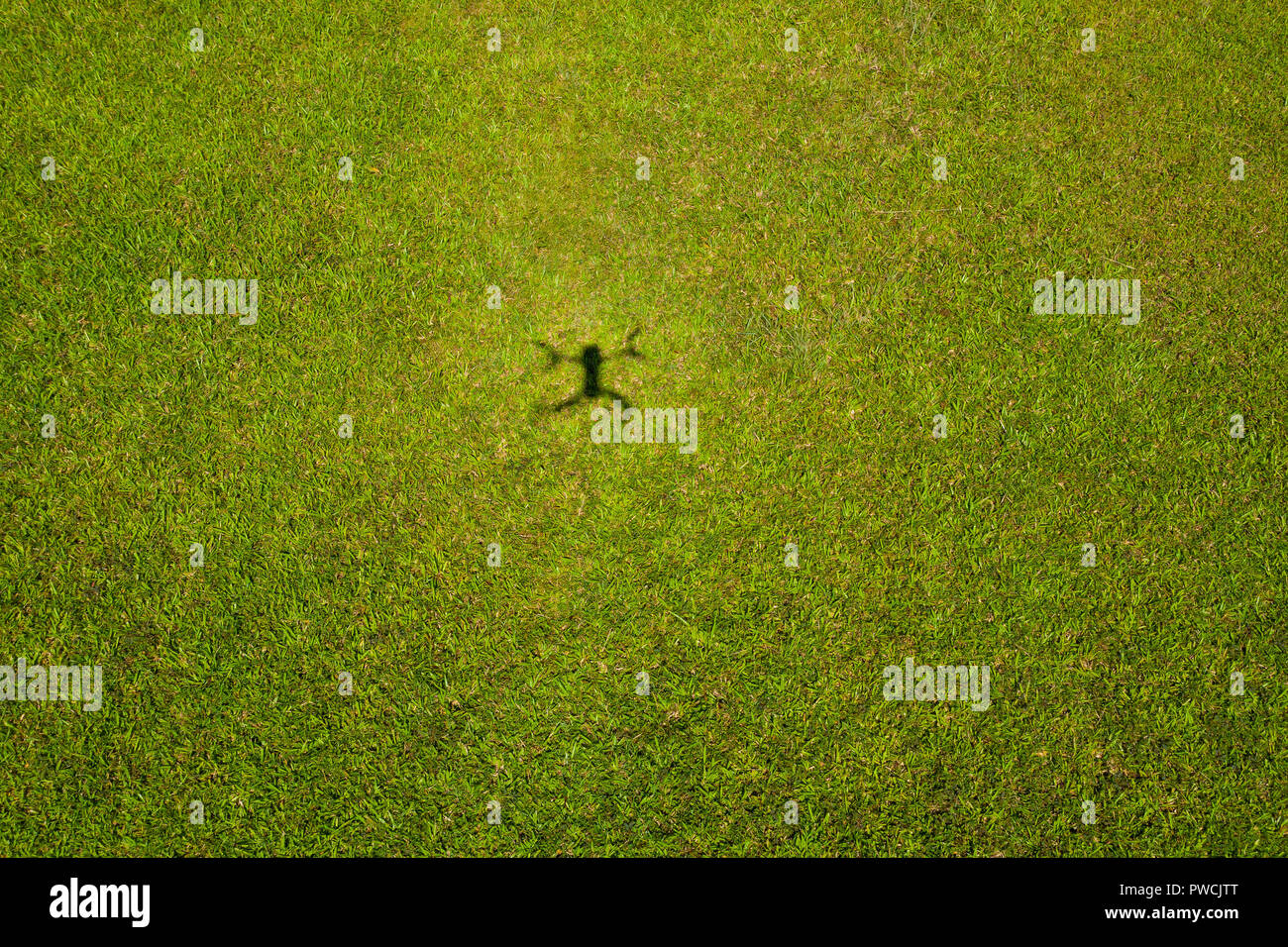 Shadow of a unmanned aircraft before landing on the green field. Unmanned aircraft will be more developed in the near future as well. Stock Photo