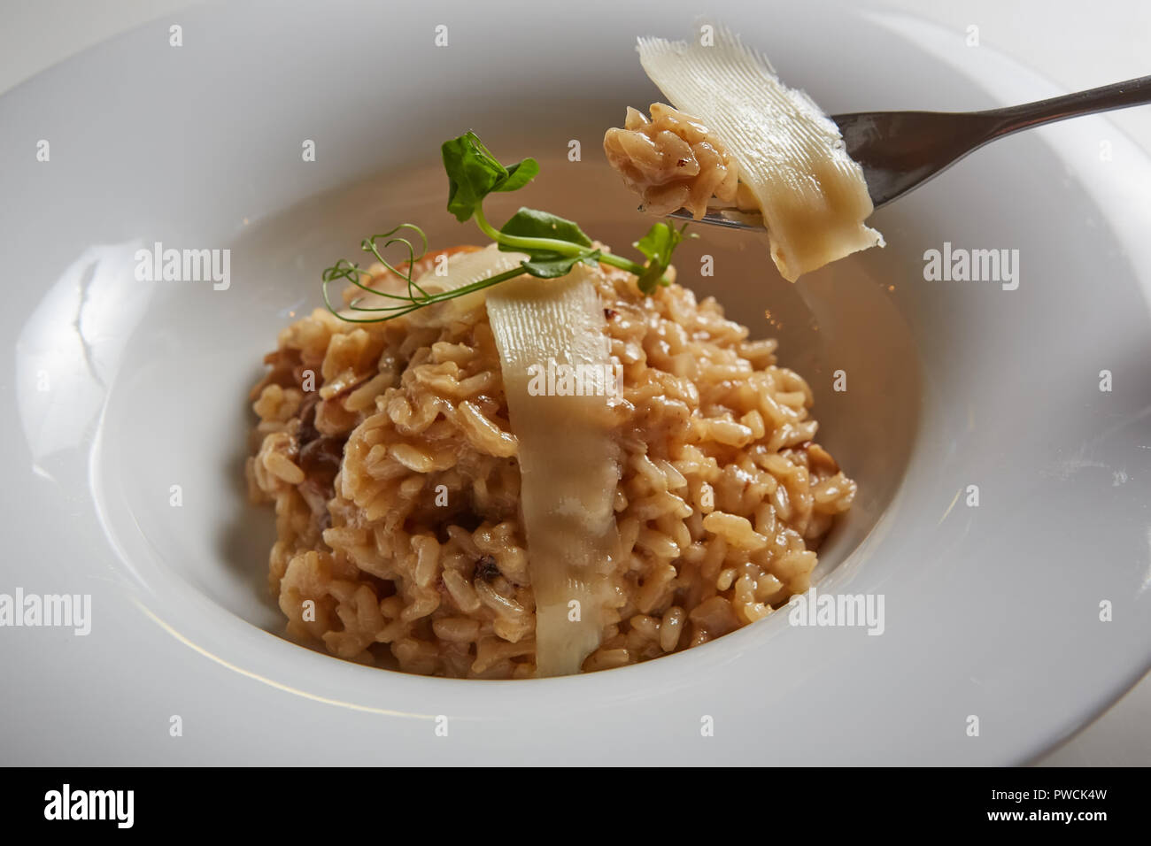 Italian dish risotto with wild white mushrooms and Parmesan cheese in a white plate. Stock Photo