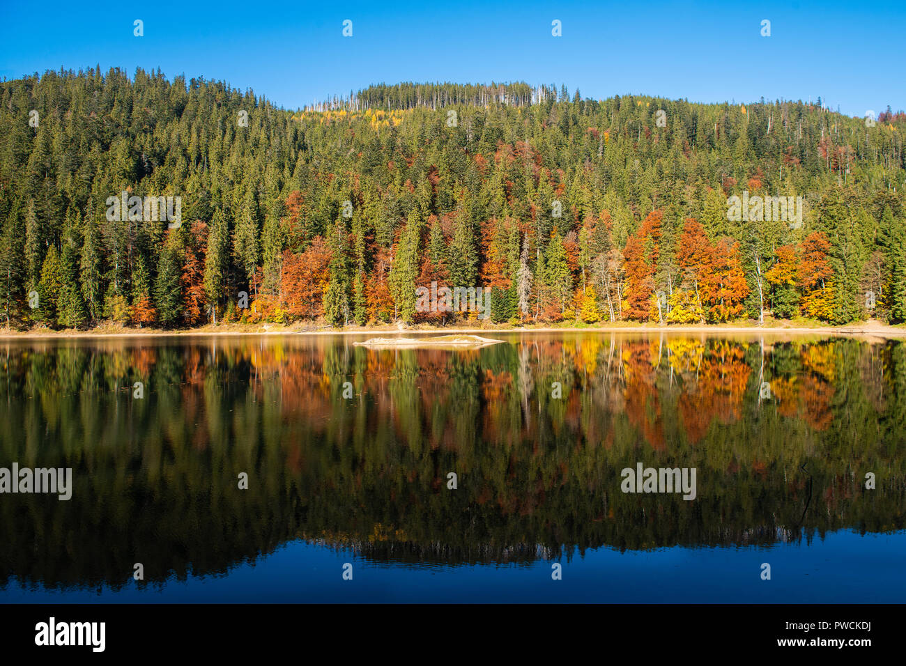 Perfect autumn tree reflections in lake with leaf Stock Photo - Alamy