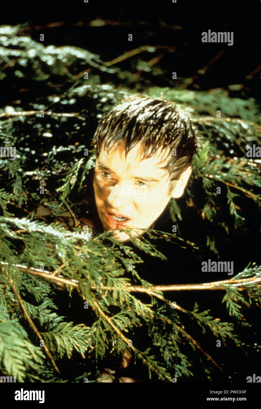 Final Destination Devon Sawa Stock Photos & Final Destination Devon