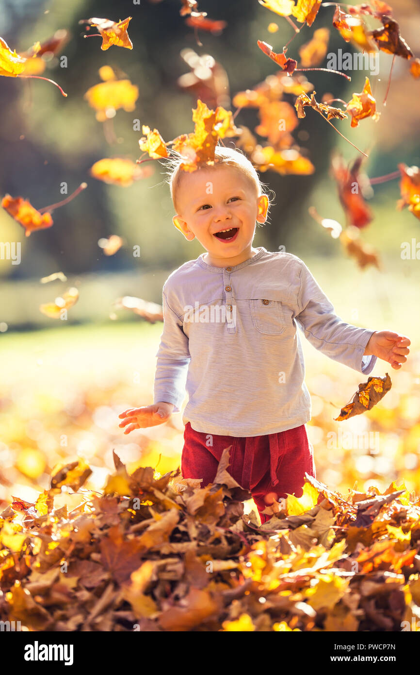 Little hapy kid boy in autumn park playing with leaves Stock Photo - Alamy