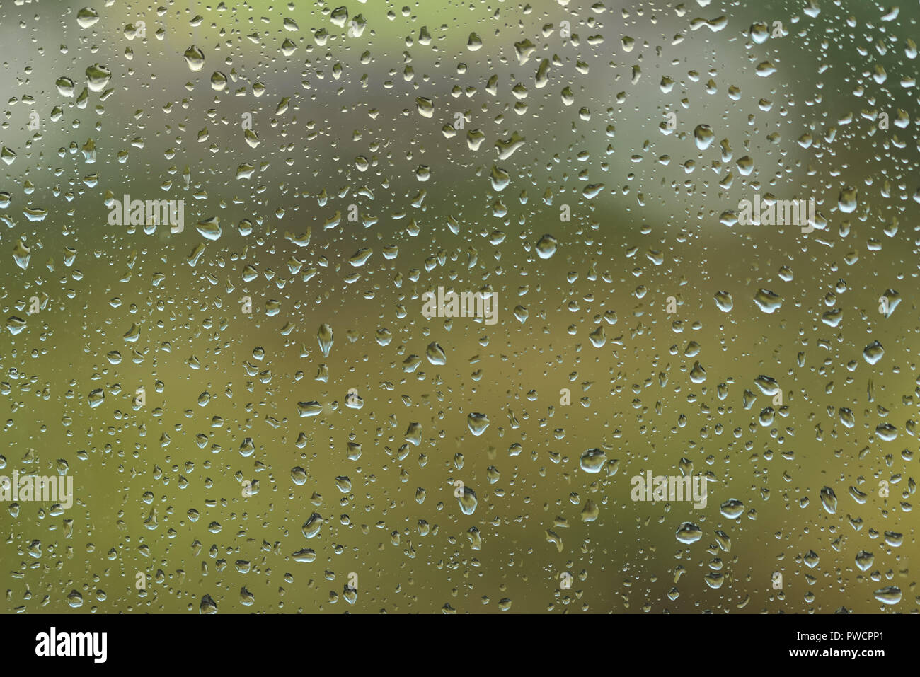 Window Water Drops Raindrops on the window. Water drops. Rain drops background Stock Photo ...