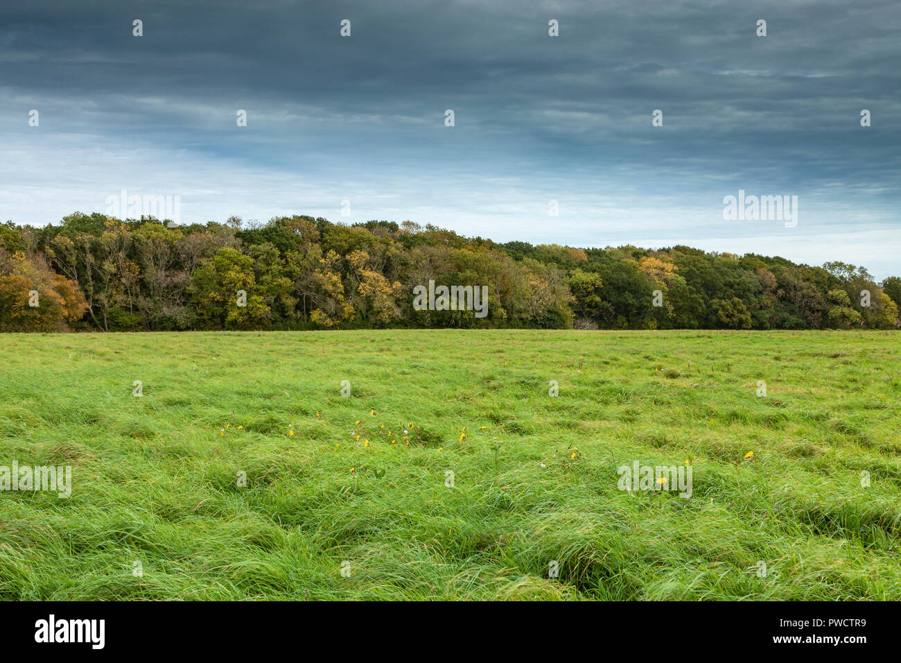 Binsted High Resolution Stock Photography and Images - Alamy