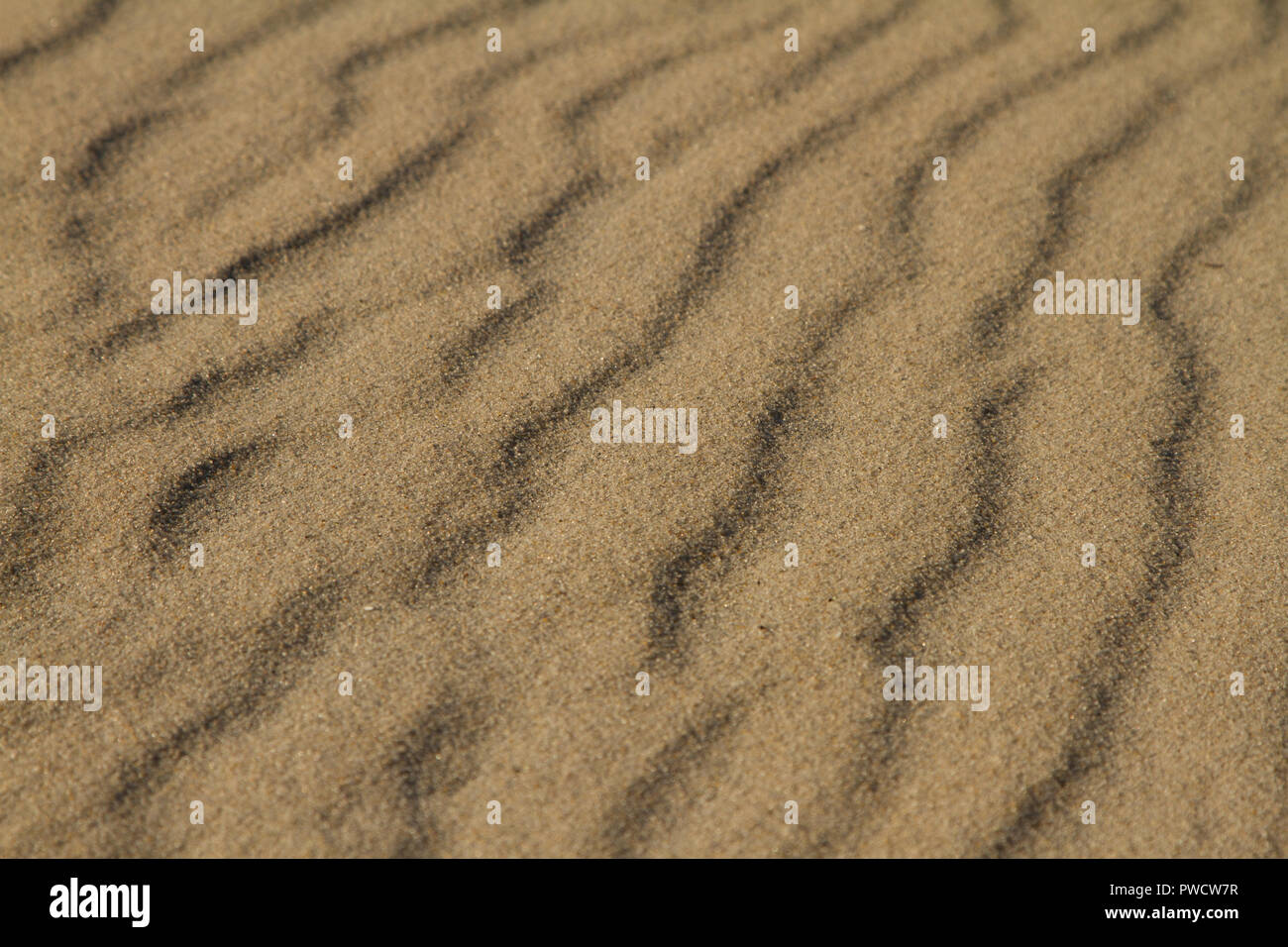 Beach sand with wavy lines. Stock Photo