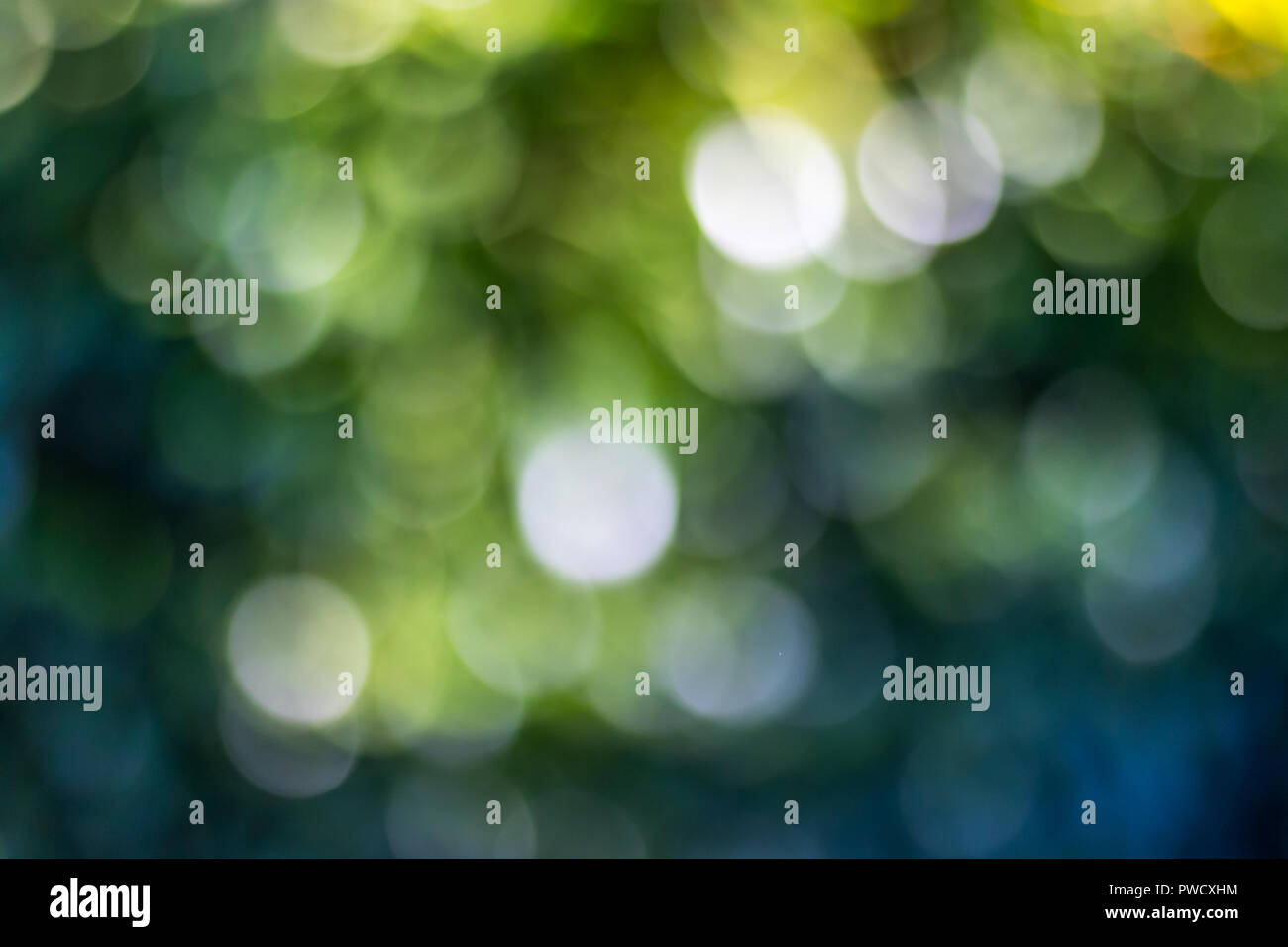 Green bokeh background in a garden, in a sunny day. green bokeh pattern, abstract texture Stock Photo