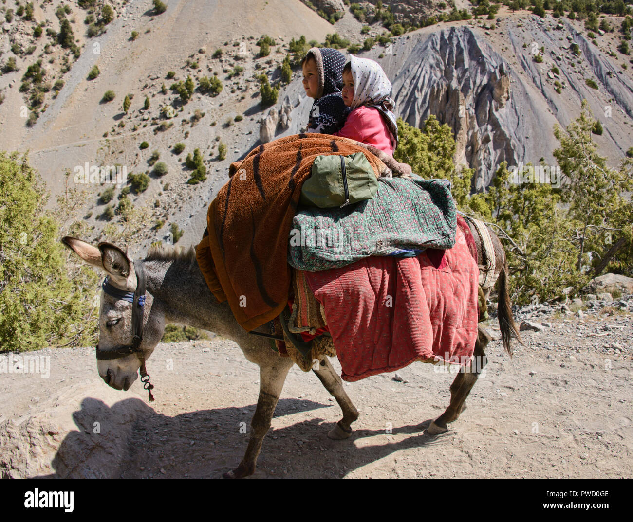 kids-travelling-with-a-donkey-in-the-fann-mountains-tajikistan-PWD0GE.jpg