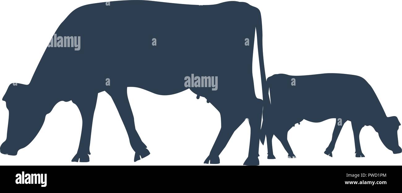 Vector silhouette of two cows. Cow icon or symbol for milk or meat or ...