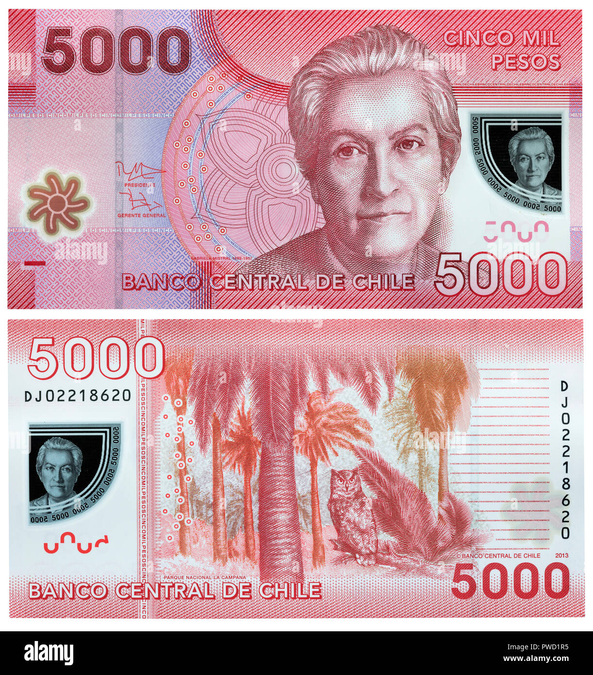 5000 pesos banknote, Gabriela Mistral, La Campana national park, Chile, 2013 Stock Photo