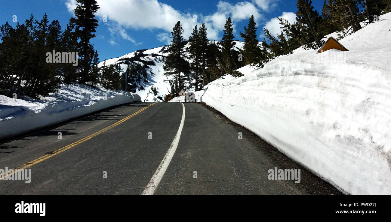 Melt road between high snowbanks on spring. Location: Sonora Pass (Highway 108), Sierra Nevada, California, USA Stock Photo