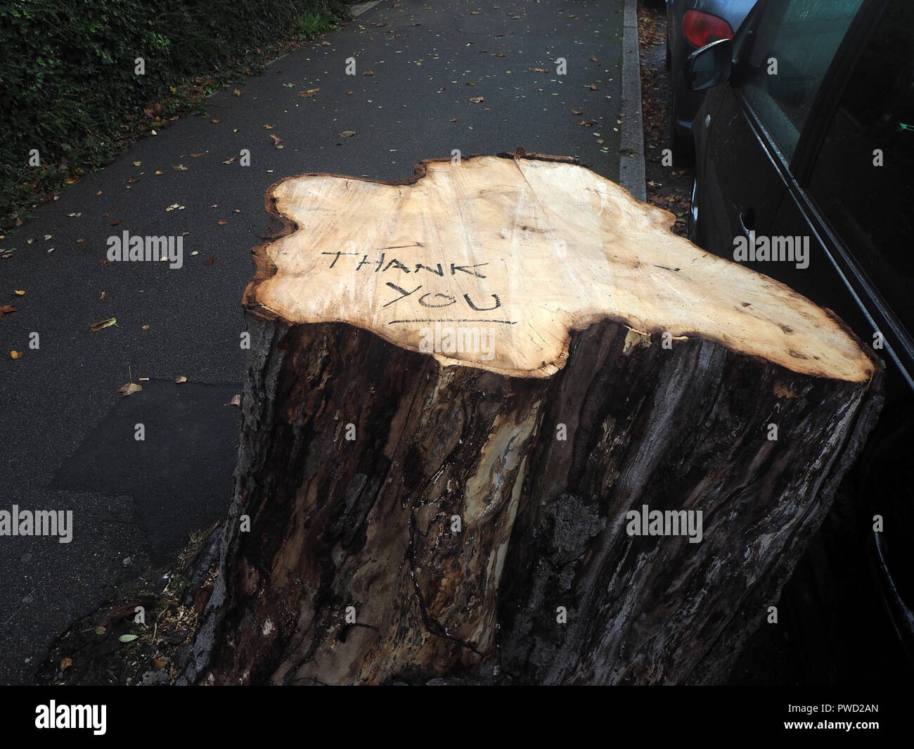 thank you on a tree stump Stock Photo - Alamy