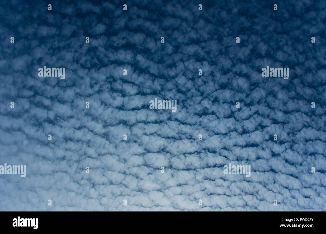 Regular pattern of white clouds in blue sky Stock Photo