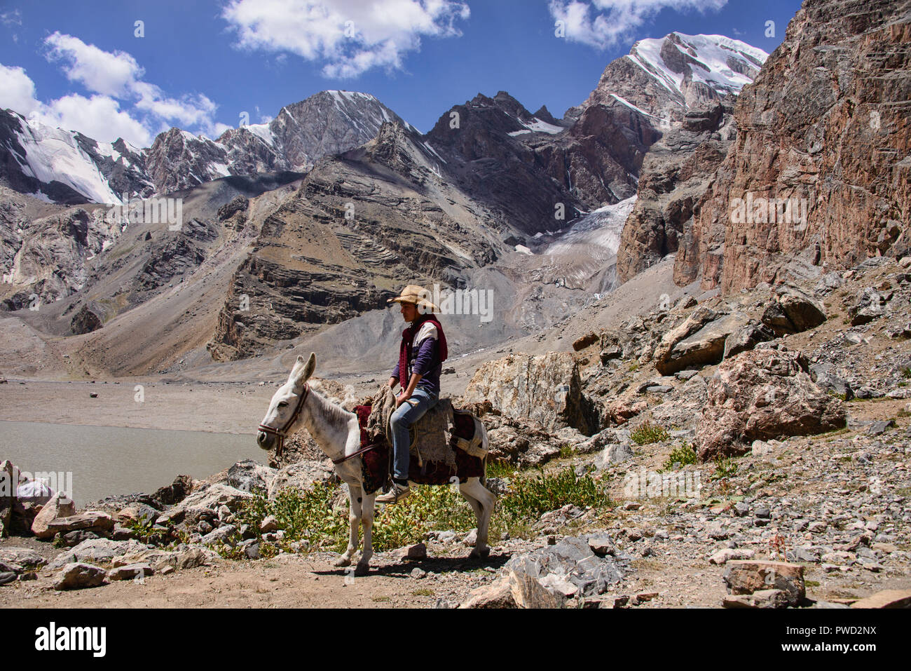 Central Asia Donkeys High Resolution Stock Photography and Images - Alamy