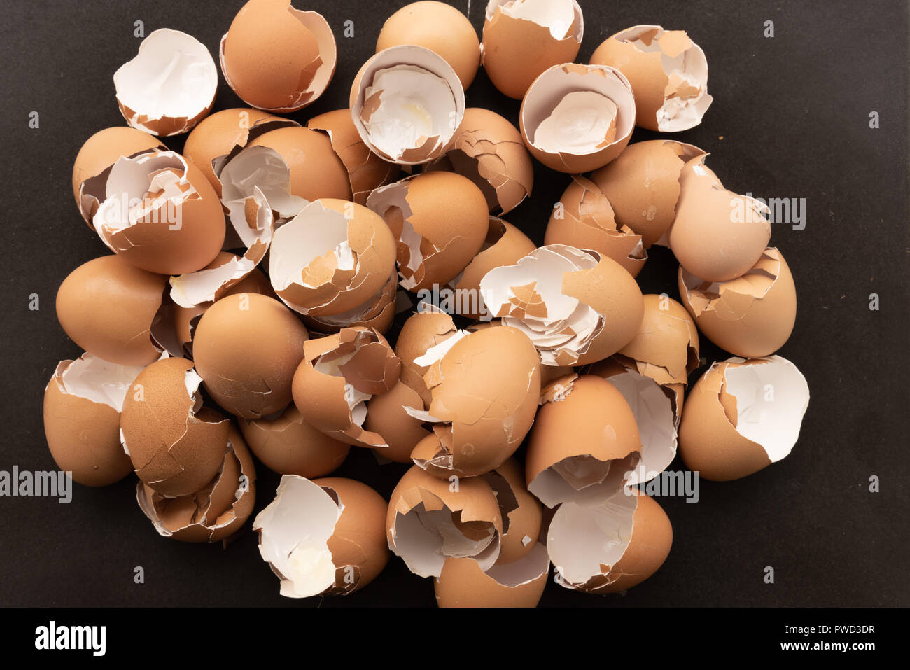 Crushed egg shells Stock Photo Alamy