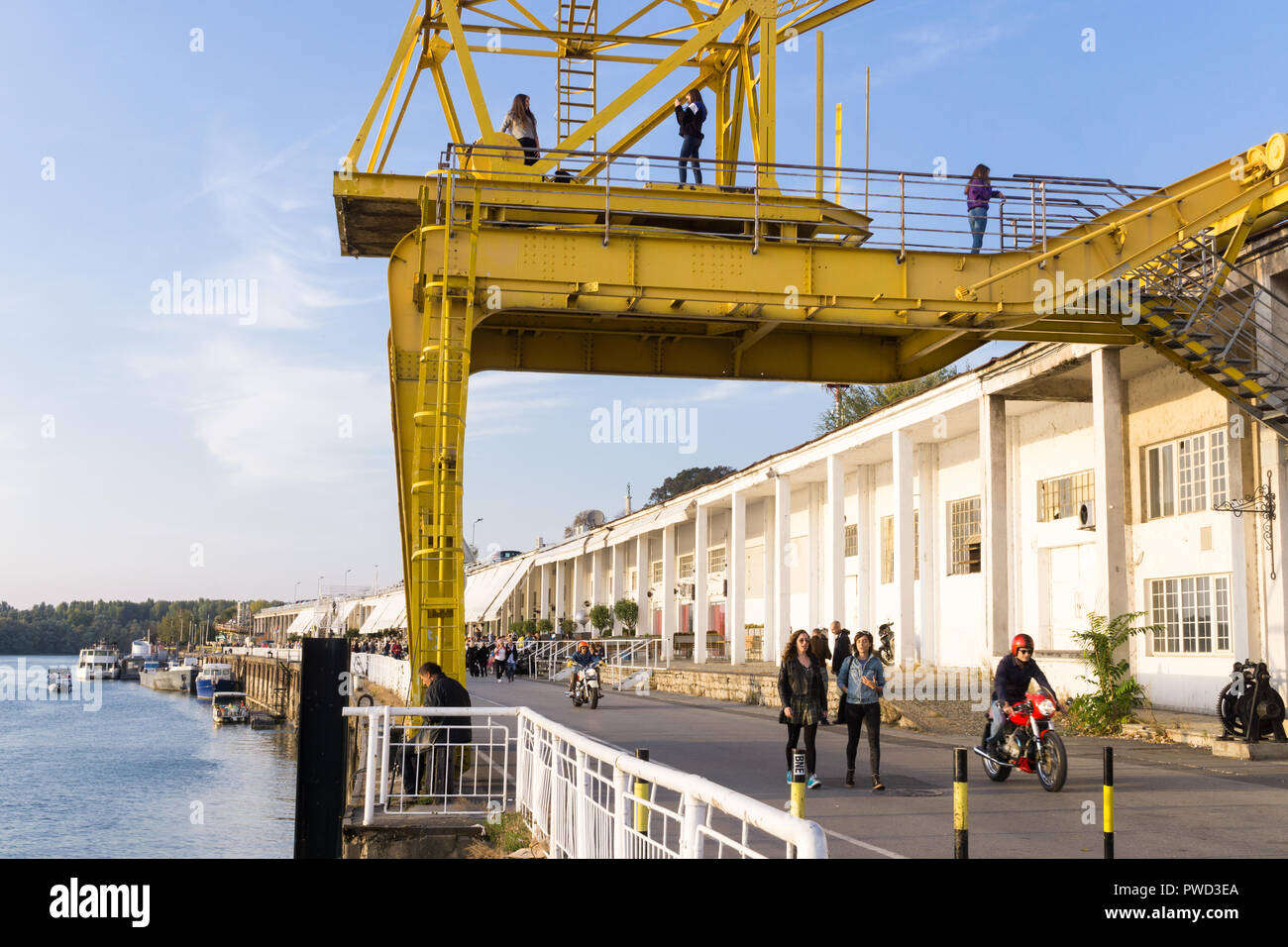 Yellow crane of the Belgrade Port on the Sava River and the Beton Hala (Concrete Hall) in the background. Stock Photo