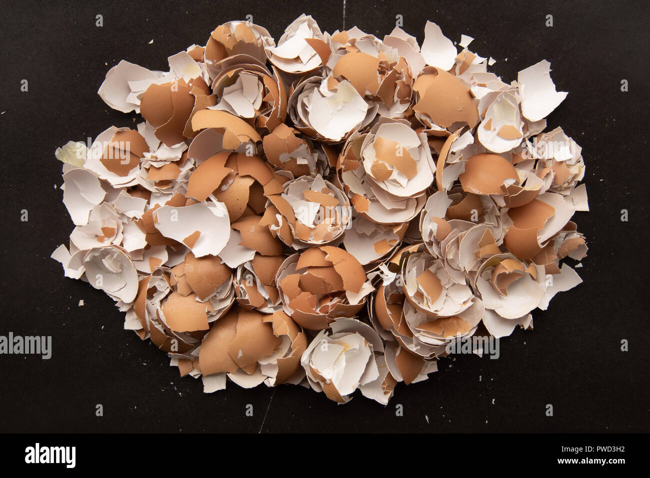 Crushed egg shells Stock Photo Alamy