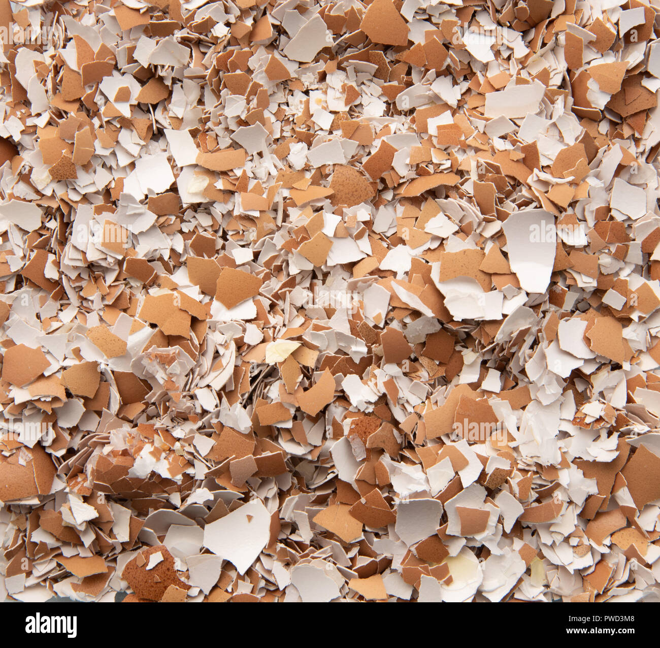 Crushed egg shells Stock Photo Alamy