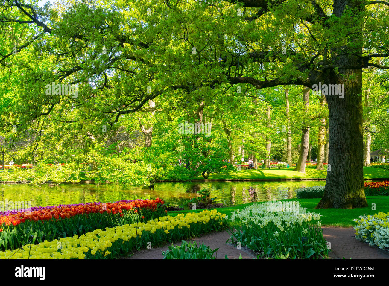 Flower bed under tree hires stock photography and images Alamy