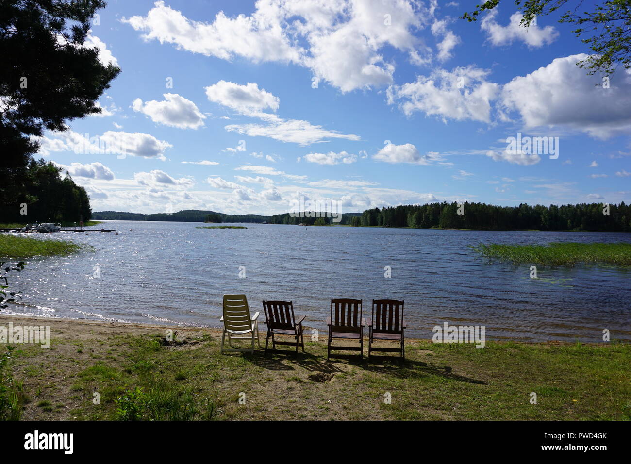 Pure nature in Finland - wild life photography Stock Photo