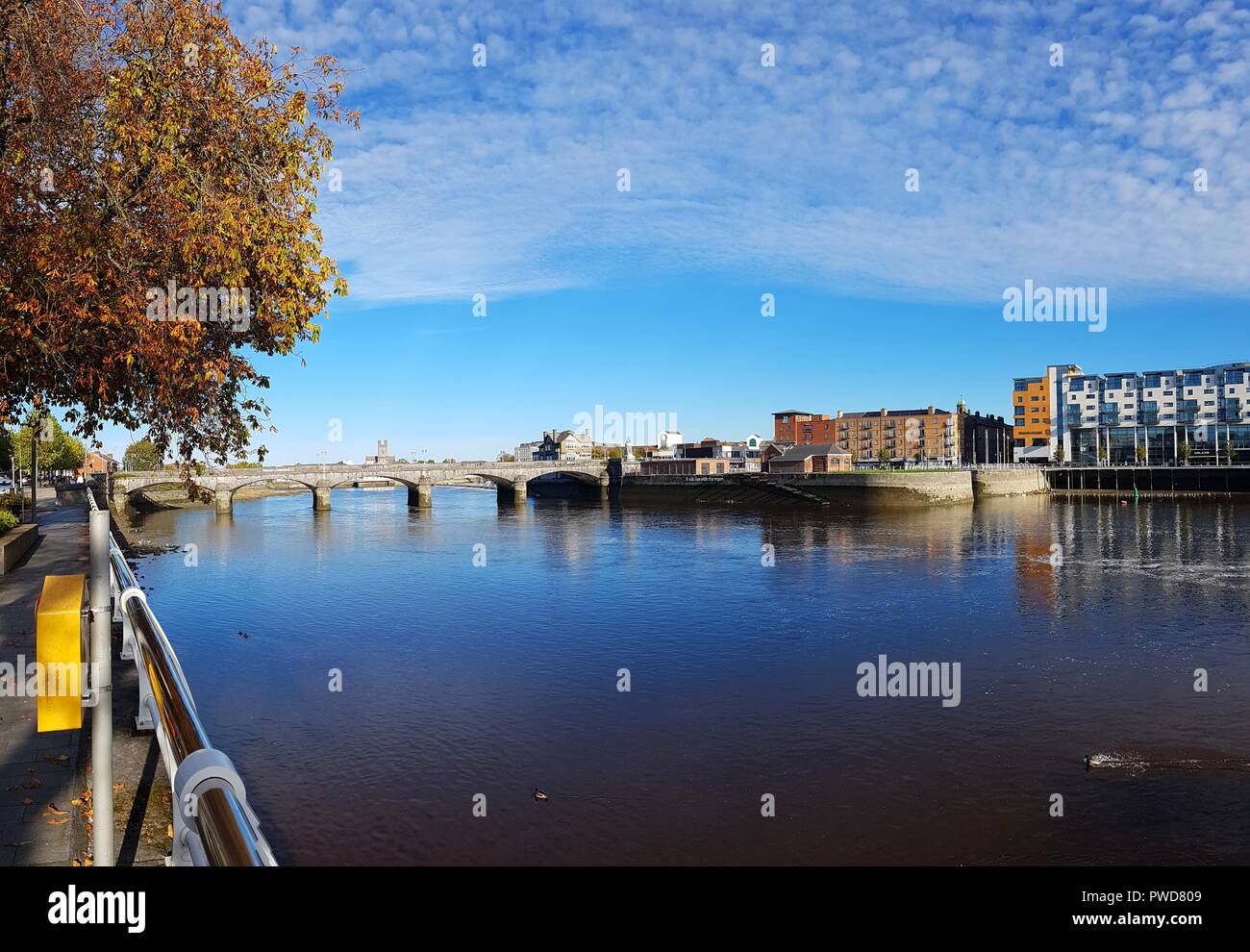 Limerick Ireland cam at Mary Depuy blog