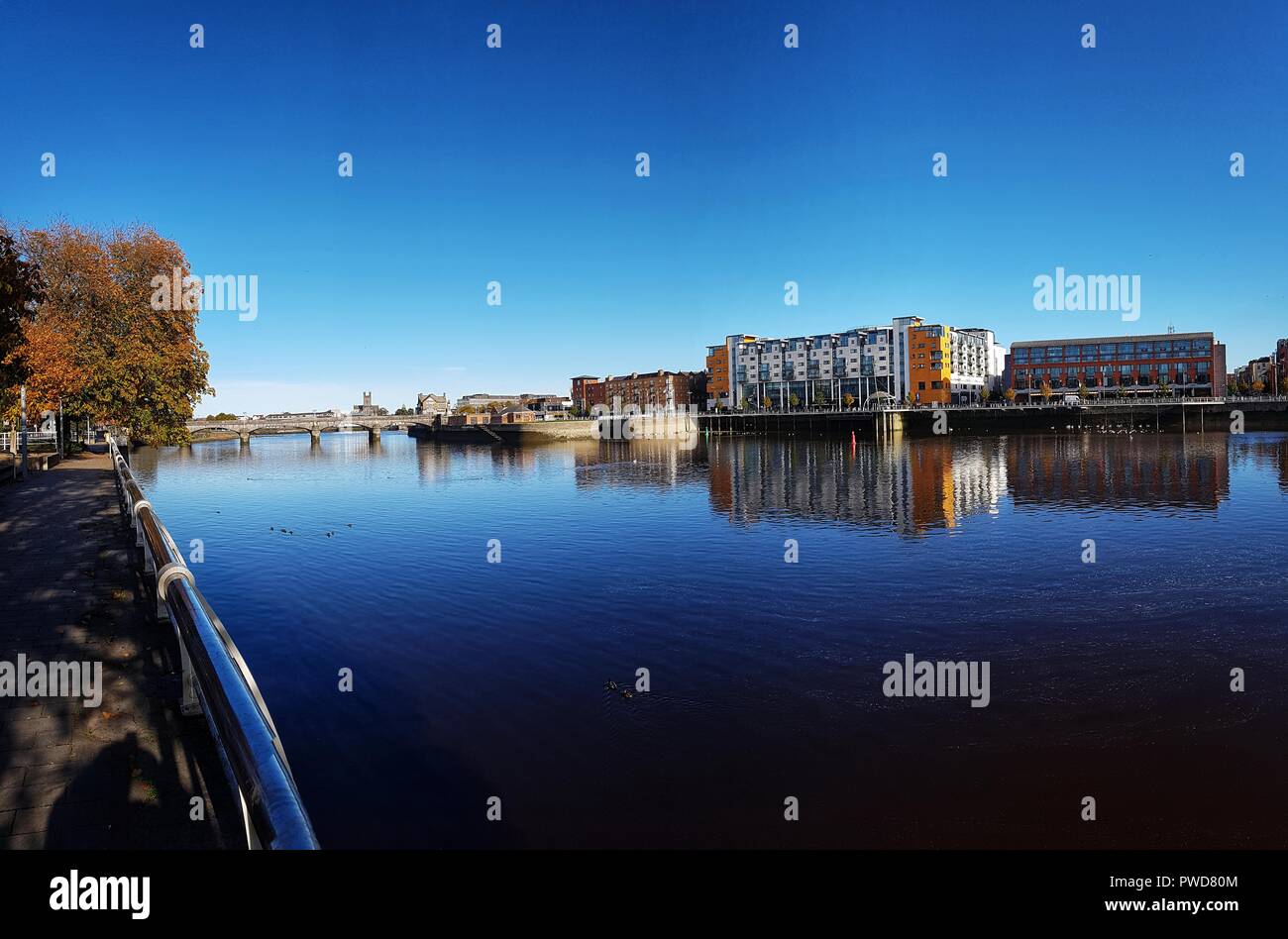 limerick city skyline ireland. beautiful limerick urban cityscape over