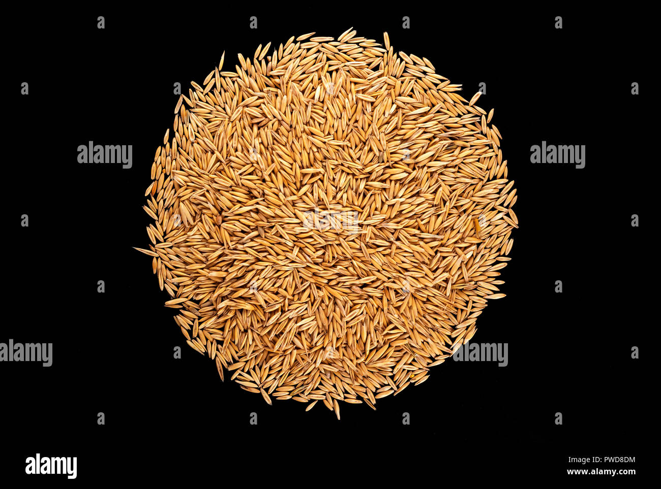 Pile of oat grains on black background, top view Stock Photo