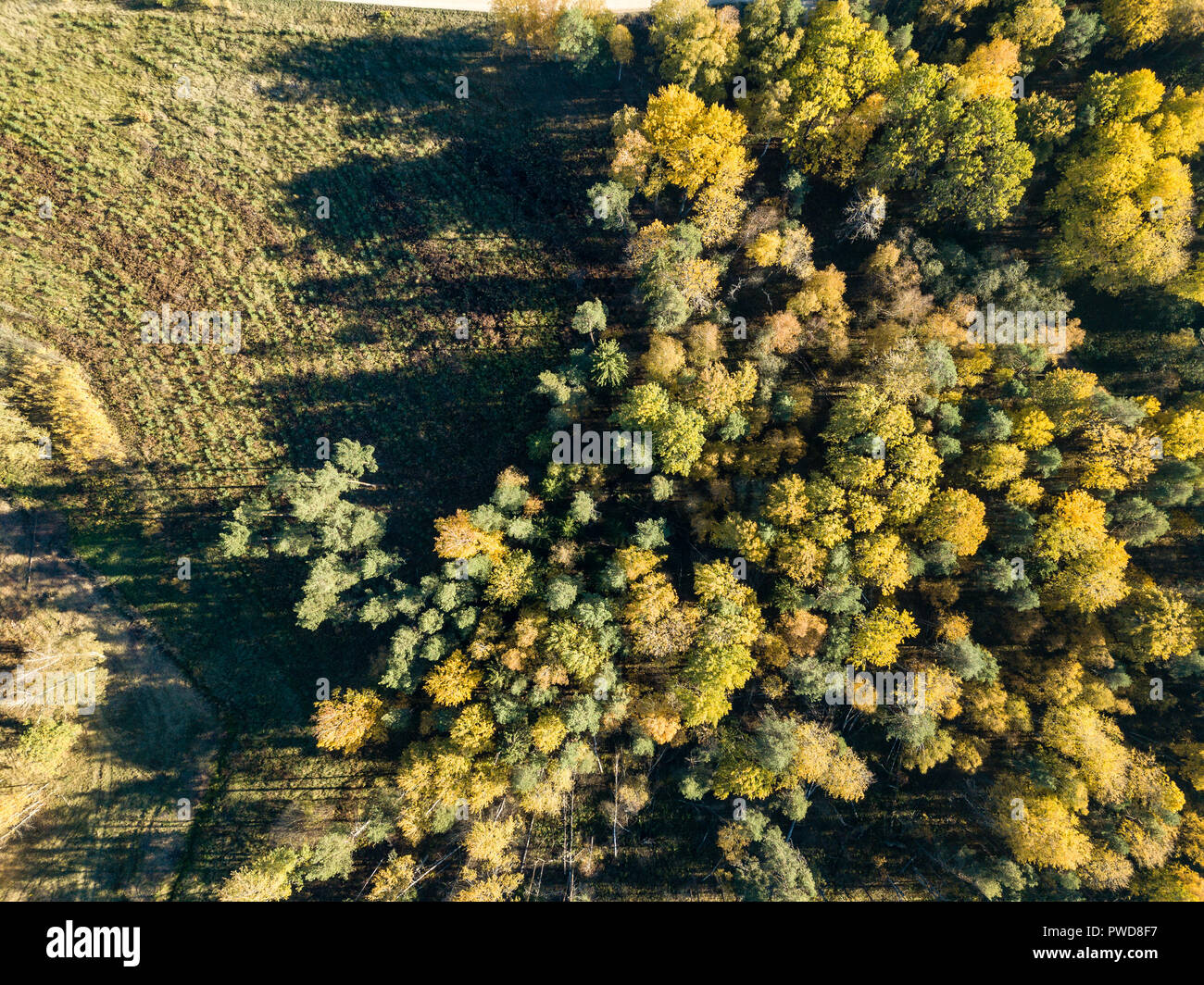 drone image. aerial view of rural area with fields and forests in ...