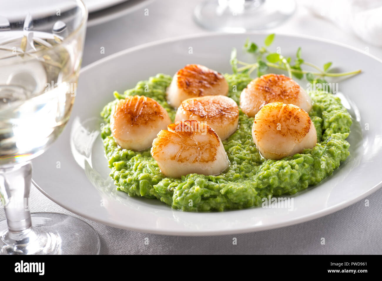 Delicious pan seared scallops on pureed peas with thyme. Stock Photo