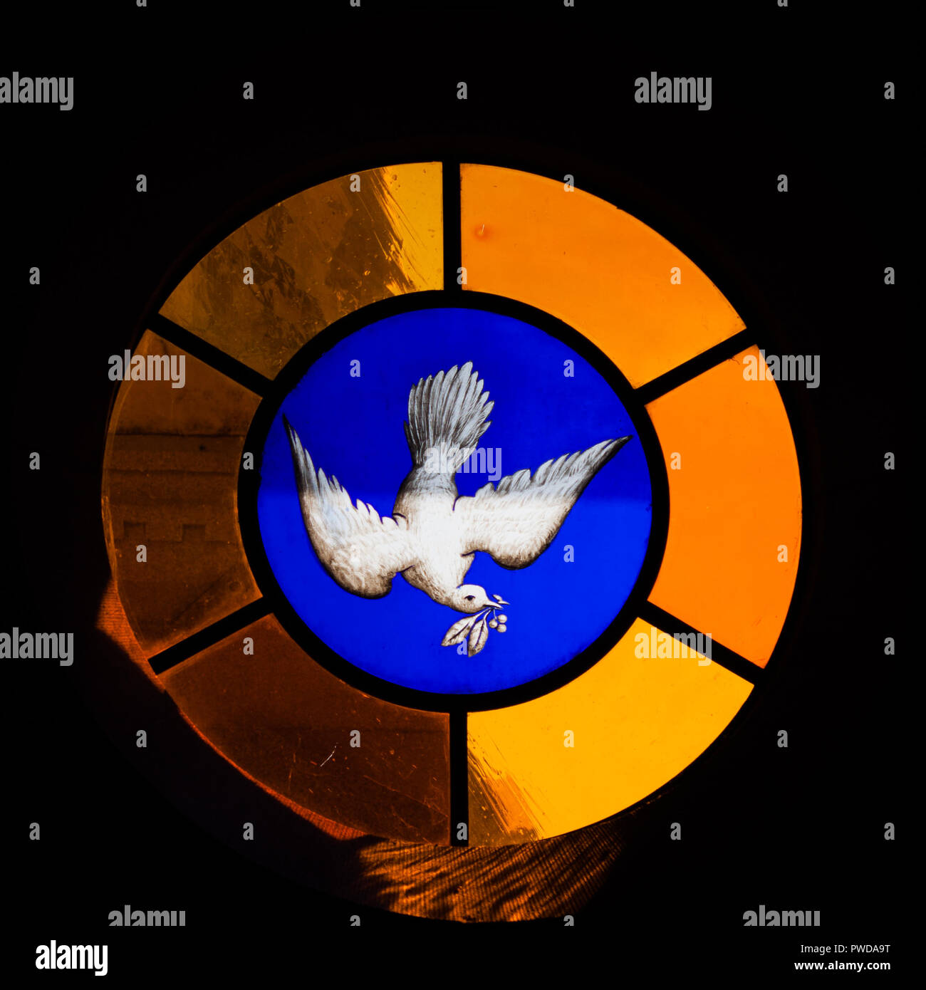 Stained glass window dove hi-res stock photography and images - Alamy