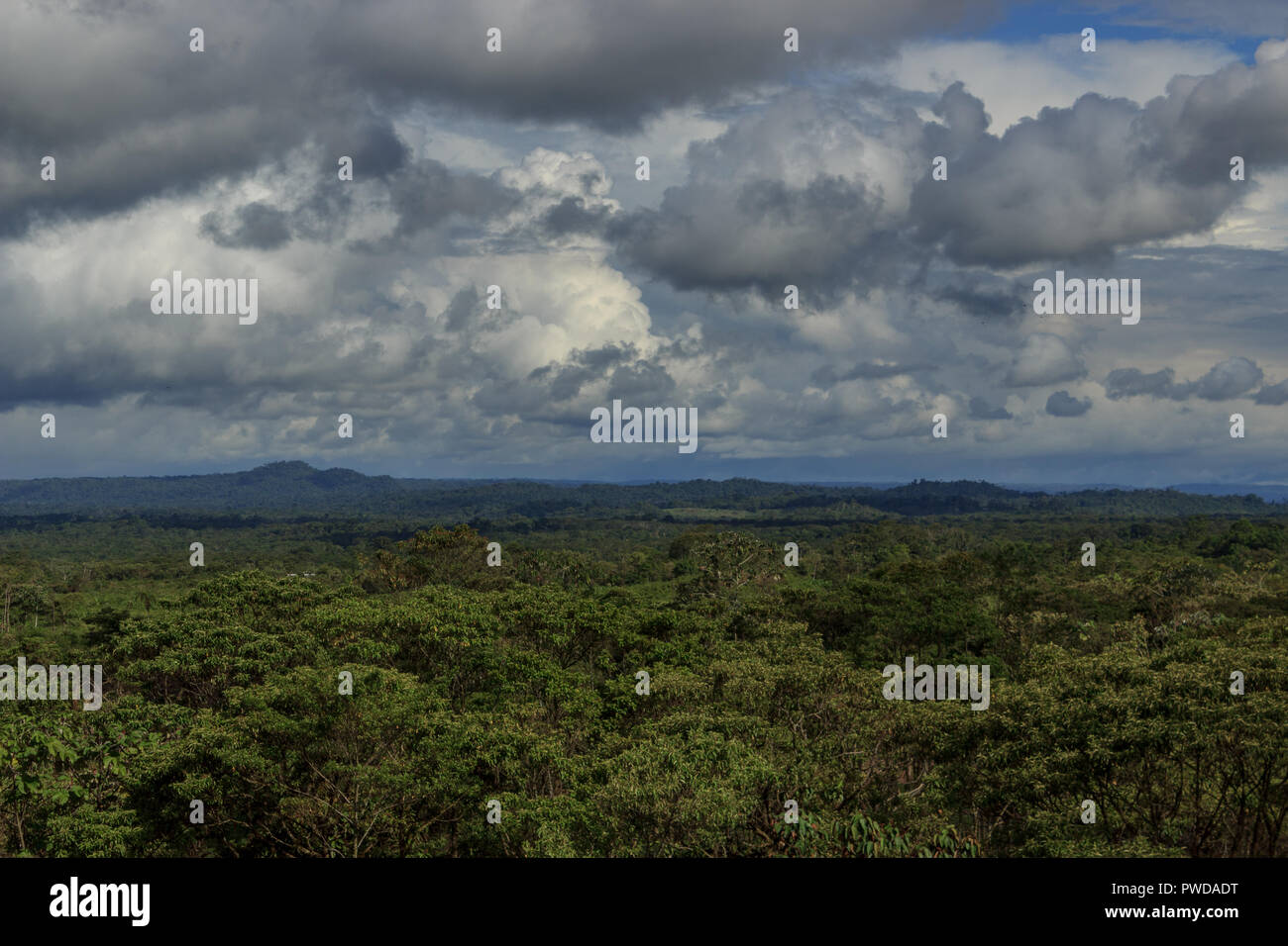Panoramic view over the amazon valley in ecuador Stock Photo