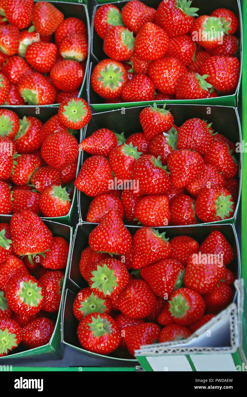Fresh Strawberries in Small Trays for Sale Stock Photo Alamy