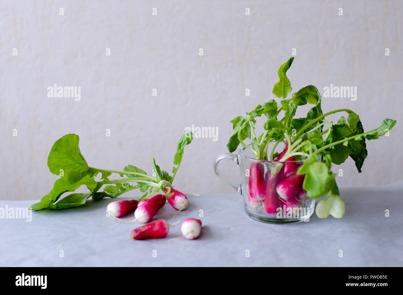 A group of radishes with white tips on a table Stock Photo