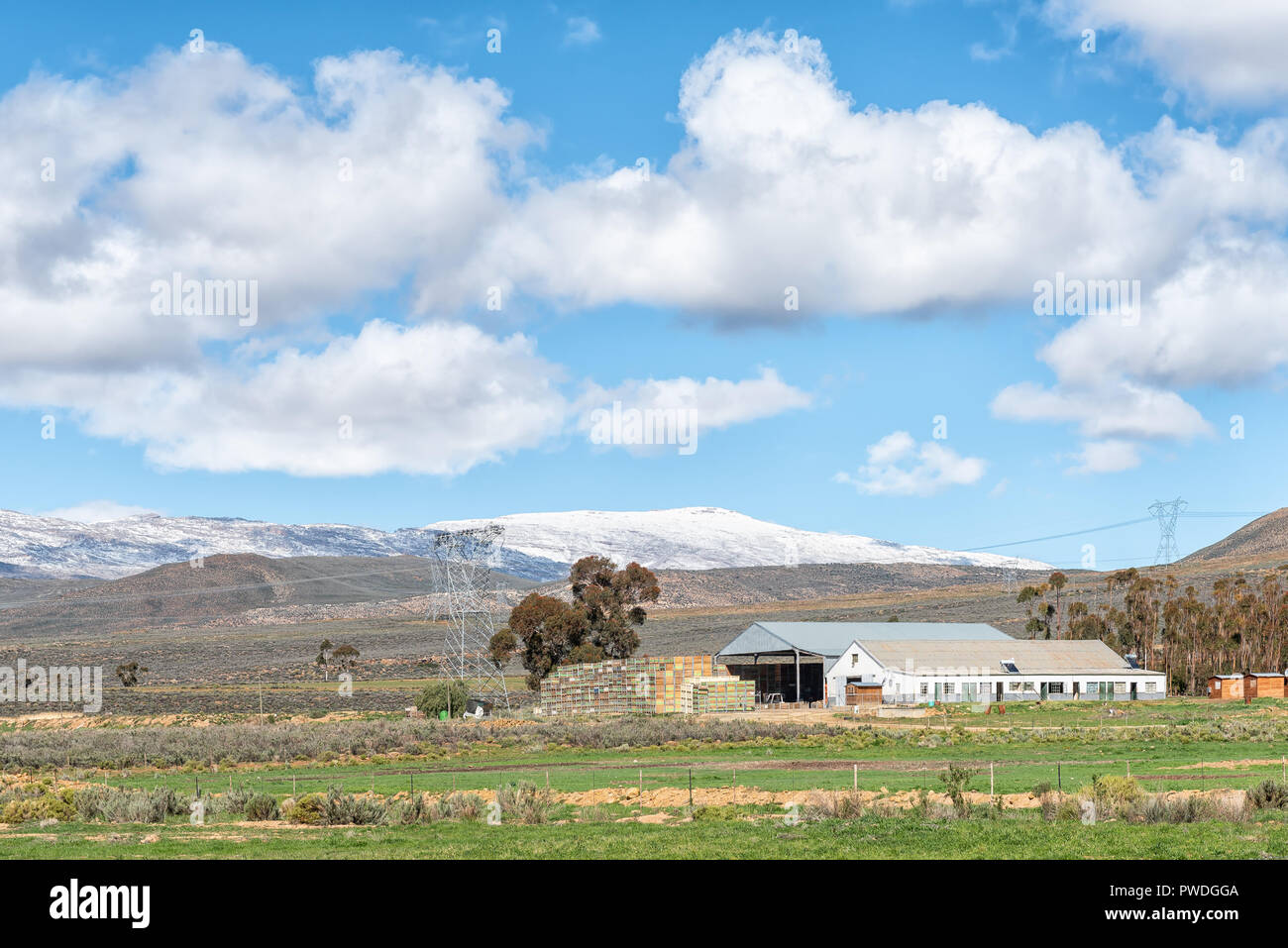 Fruit crates hires stock photography and images Alamy