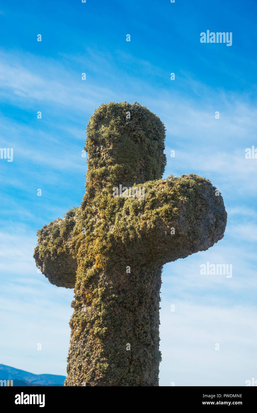 Cross covered with lichen. Santa Maria de los Caballeros, Avila province, Castilla Leon, Spain. Stock Photo