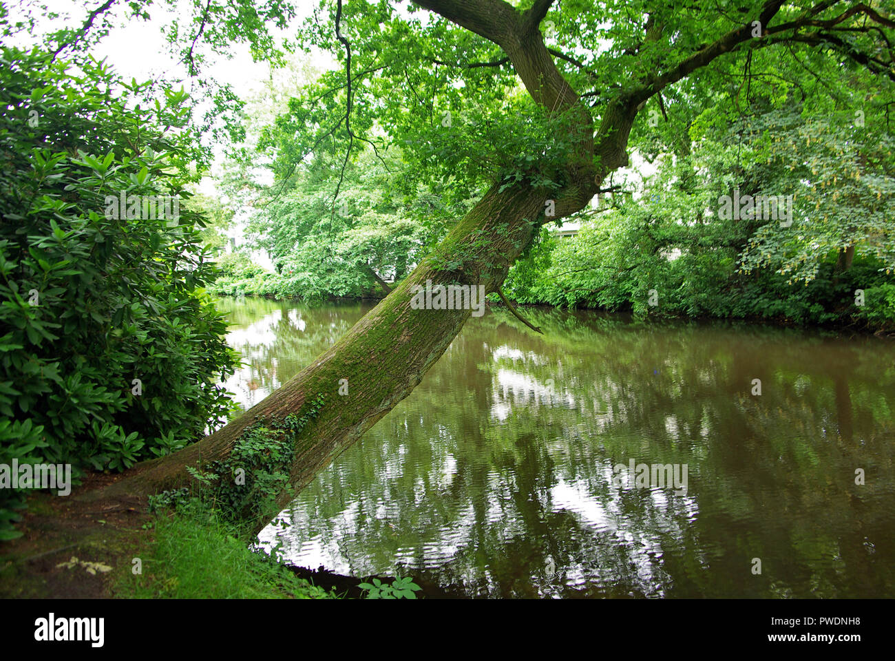 Oldenburg, Germany. A little lake in the garden in the town center