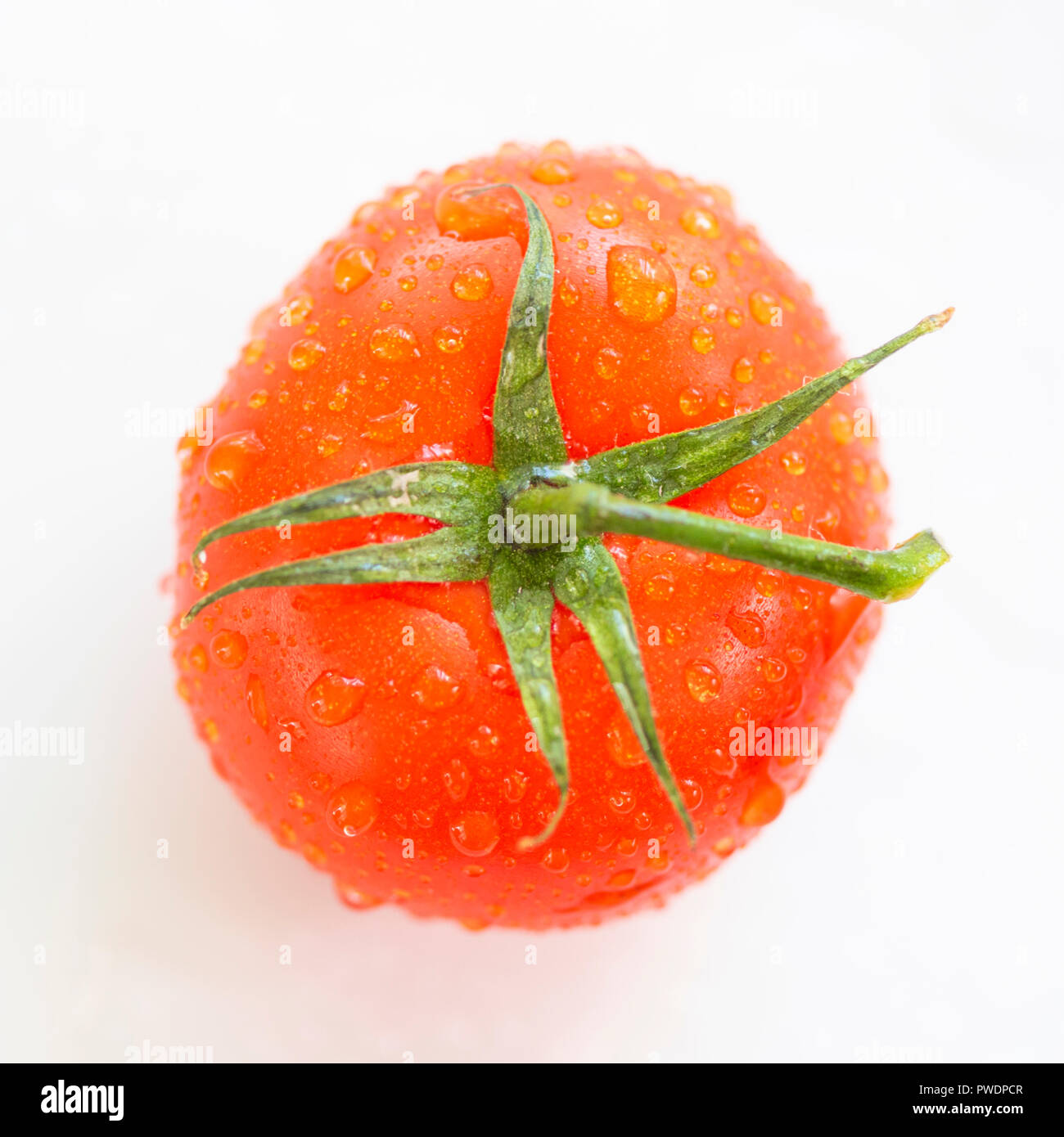 fresh tomato on white background Stock Photo - Alamy
